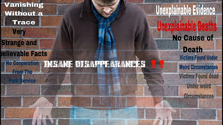 INSANE DISAPPEARANCES . Joshua Snell