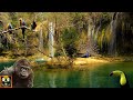 Jungle Sounds | Sound of Waterfalls and Jungle Animals for Sleep, Study, Relax | 10 Hours