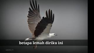 Story wa Cover Muhasabah Cinta || obs.sbhaktiar