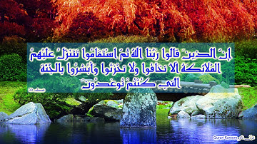 سورة البقرة كاملة سعد الغامدي تلاوة خاشعة مؤثرة مبكية روعة