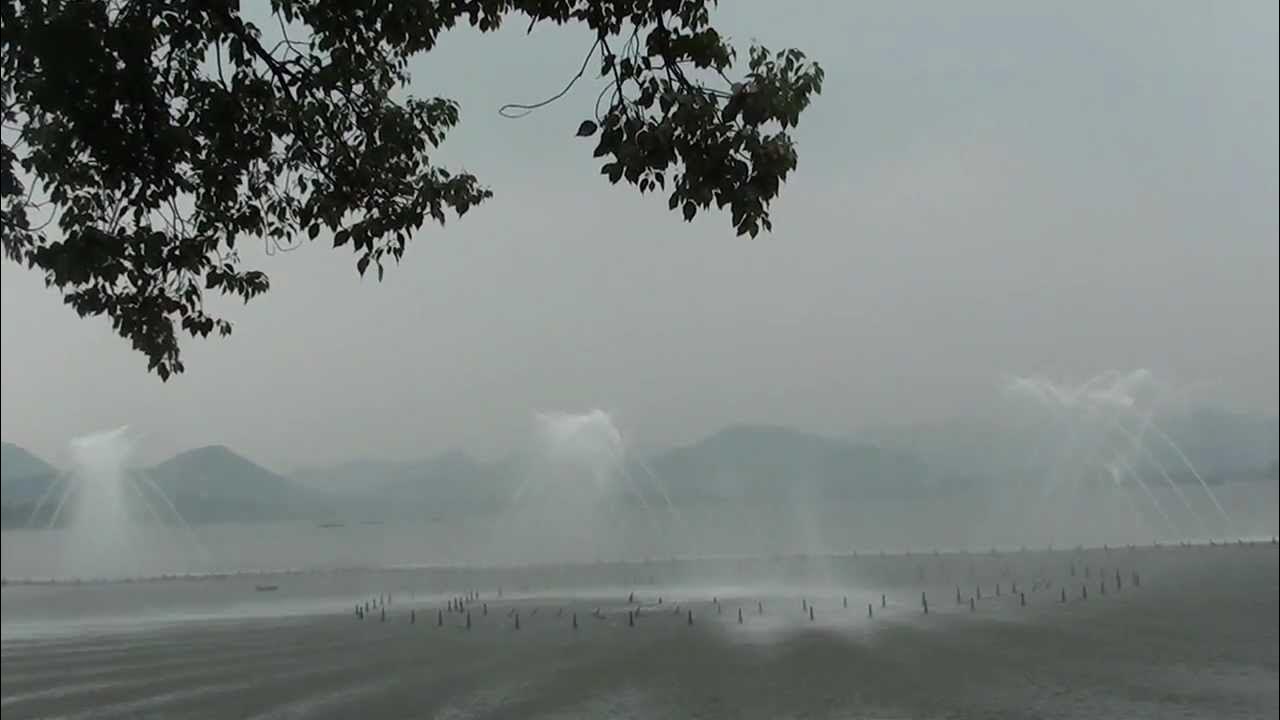 Musical Fountain - Plum Blossom(Day)@WestLake,Hangzhou,China Musical Fountain - Plum Blossom(Day)@WestLake,Hangzhou,China