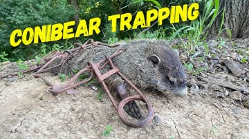 How To Trap Groundhogs Using Conibear Traps!!!