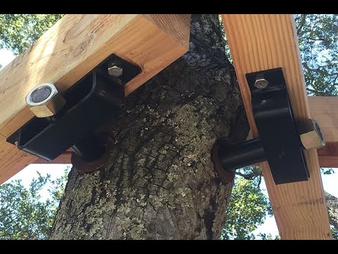 Treehouse Hardware