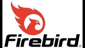 Firebird Targets Firebird 50 Biodegradable Target   SHOT Show 2020