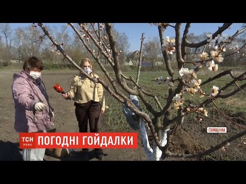 Через погодні гойдалки