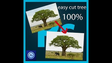 ps touch  tutorial easy tree cut transparent background