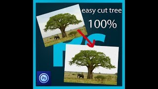 ps touch  tutorial easy tree cut transparent background