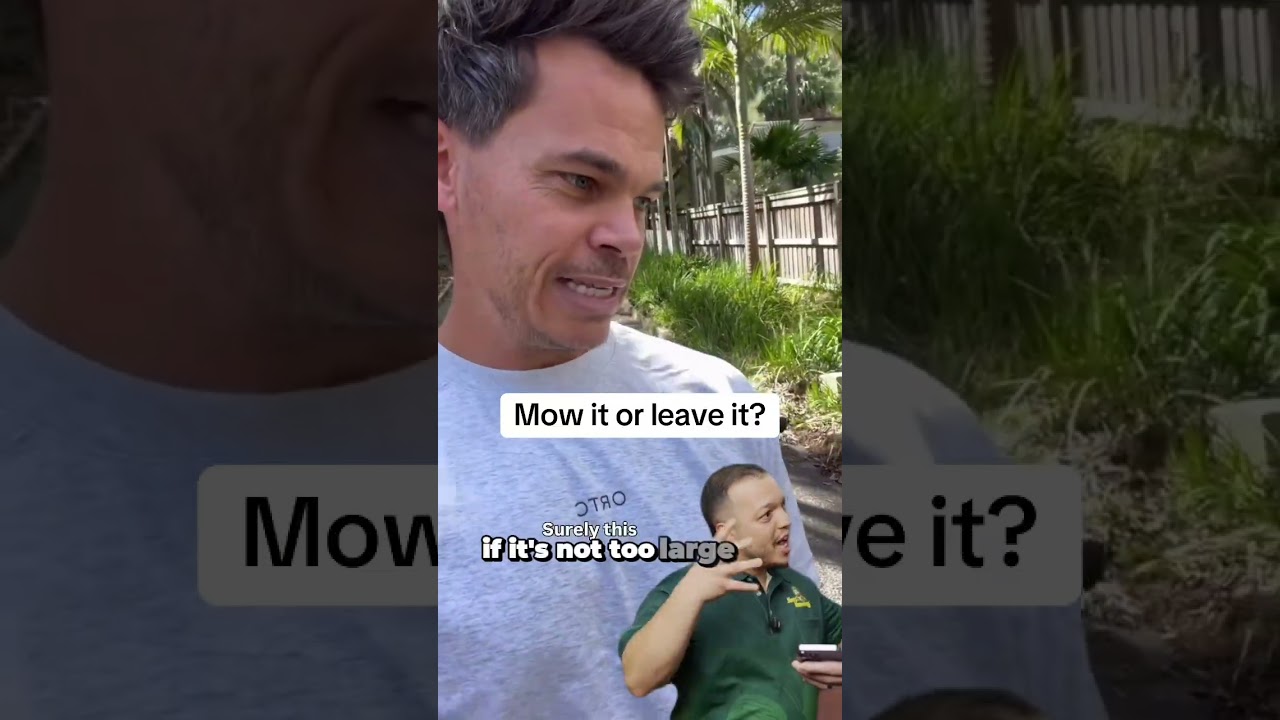 Mow it or leave it? #jimsmowing #gardening #lawncare #mowing