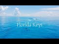 Florida Keys Relaxing Lo Fi Music 1hr Mix Ikson Project AER Laffey Florida Keys Relaxing Lo Fi Music 1hr Mix Ikson Project AER Laffey