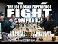 Joe Rogan Experience - Fight Companion - February 17, 2019