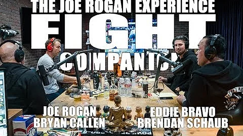 Joe Rogan Experience - Fight Companion - February 17, 2019