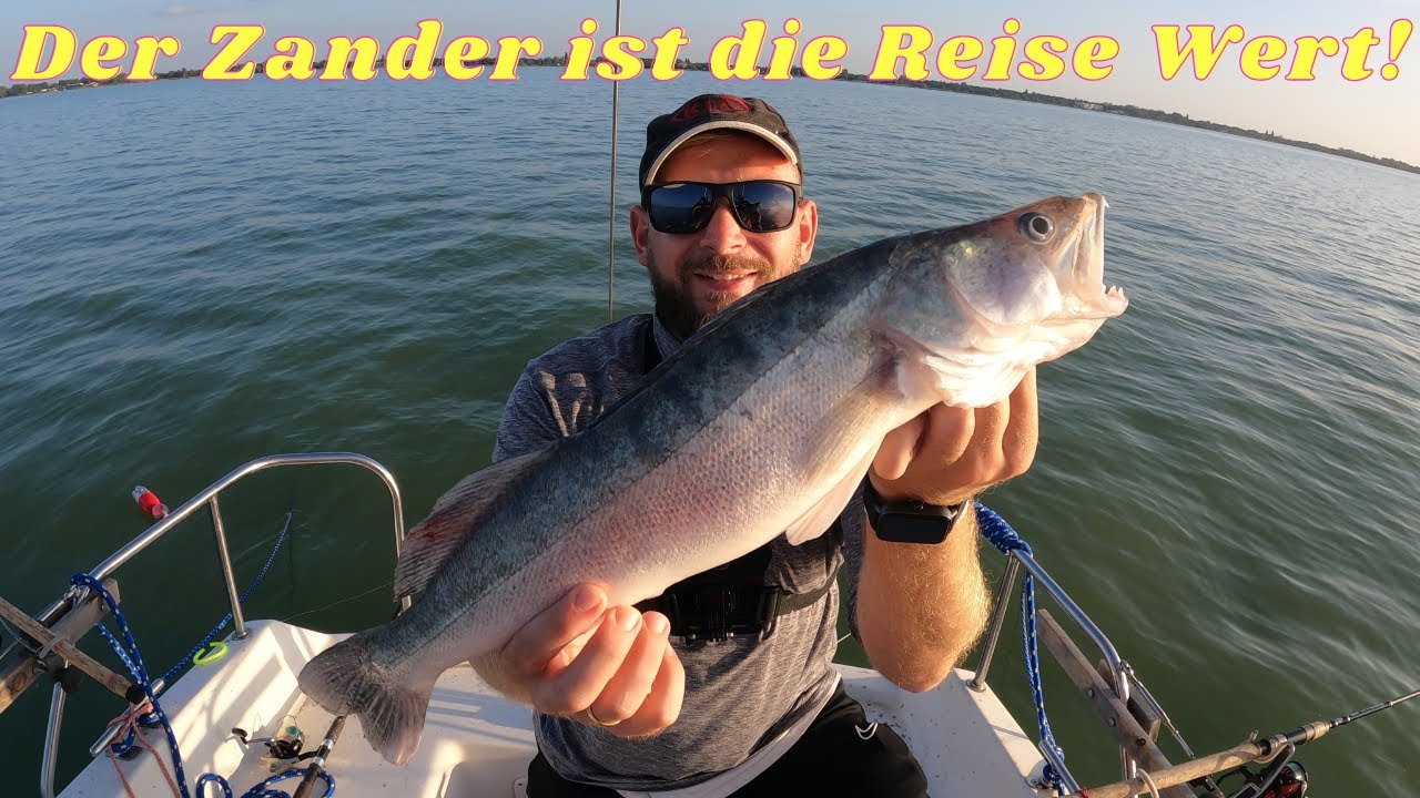 Fischen auf Zander und Wels am Plattensee Ungarn: Eine entspannte Session am Wasser!