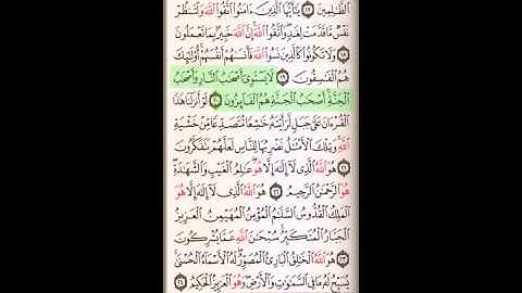 سورة الحشر 18-24 بصوت الشيخ سالم الطويل