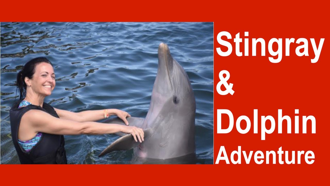 Swimming with Stingrays & Dolphins - Episode 15 Epic Liveaboard