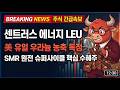 [센트러스에너지 주가전망] 센트러스 에너지 LEU — 美 유일 우라늄 농축 독점, SMR 원전 슈퍼사이클 핵심 수혜주