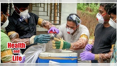 Nipah virus not transmitted by fruit bats