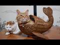 かご猫LIVE配信　2026年9月18日のサムネイル