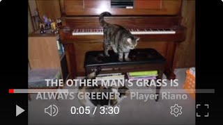 THE OTHER MANS GRASS IS ALWAYS GREENER - QRS-10-196 - PLAYER PIANO ROLL