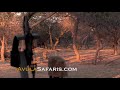 Avula Safaris Commercial 30 seconds