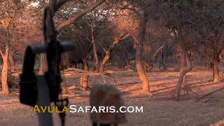 Avula Safaris Commercial 30 seconds