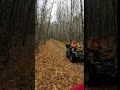 "On By!" Dog sled training, Points Unknown Dog Based Adventures