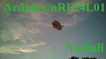 Arduino/nRF24L01 - Nutball !