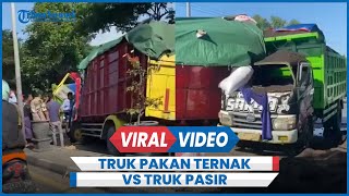 Kecelakaan Truk Pakan Ternak Vs Truk Pasir, Sopir Terjepit