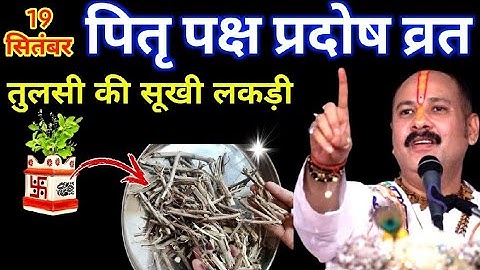 19 सितंबर प्रदोष व्रत पर करें तुलसी की सूखी लकड़ी का उपाय || प्रदीप जी मिश्रा