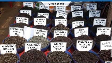 Who come from Where? || 5. Seeds And Seeds || Class - 5 || EVS || Learn With Logic