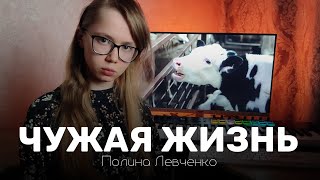 Полина Левченко — Чужая жизнь || Песня вегана о животных и людях (Mood Video)