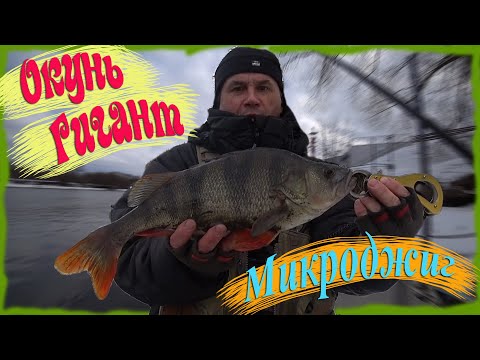 ОКУНЬ ГИГАНТ. Микроджиг. Москва река