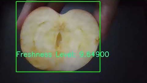 Fruit Freshness Grading Computer Vision Task Presentation