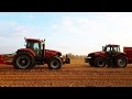 100 case ih rcolte des pomme de terre magnum 260 puma 195 cvx