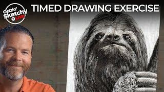 How to Draw a Sloth - Timed Drawing Exercise