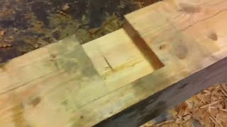 Trees To Timber Frame Cabin Off-Grid Homestead Project First Sill pt 1