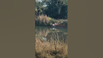 My First Vlog | Meri Pehli Vlog Journey - Yeh Hai Mere Life Ka First Glimpse!#FirstVlog #YouTubeVlog