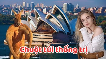 Top 10 sự thật về nước Úc (Australia) sẽ khiến bạn bất ngờ | Khám phá thế giới 410