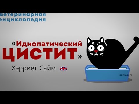 Идиопатический цистит. Feline Idiopathic Cystitis