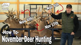 November Deer Hunting Rules