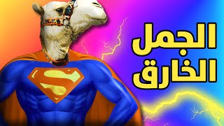 القوى الخارقة التي يملكها الجمل ولا يعرفها أحد