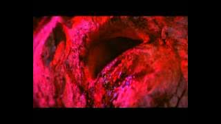 Suspiria # sequenza finale #