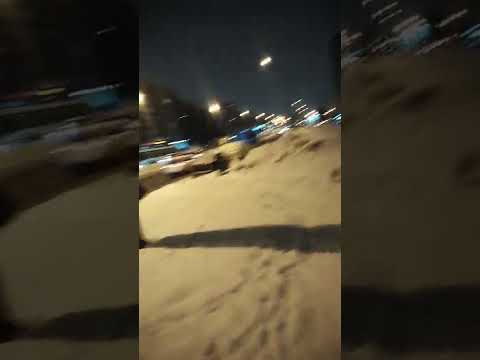погода в питере