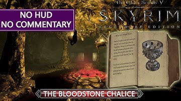 Skyrim: Dawnguard - "THE BLOODSTONE CHALICE"  | No HUD, No Commentary, Vampire Side