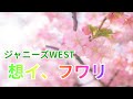 【ジャニーズWEST】想イ、フワリ【カラオケ】