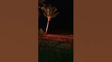 Savusavu Siga Siga Sands 