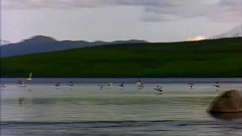 lake .t