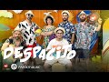 Ar bi ar 4x4 band  despacito  showbox  parody music