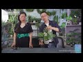 Yeahflower the 127th canton fair artificial plant  live show  first round