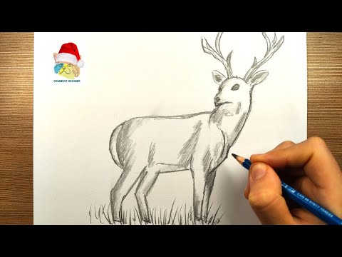 Vidéo: Comment dessiner un jardin : étapes de travail