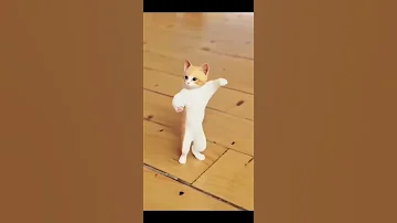 ايه اليوم الحلو ده 